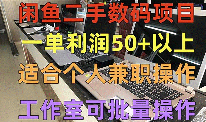 闲鱼二手数码项目_适合做副业_工作室可批量放大操作-小目标博客资源网