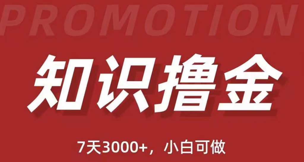 抖音知识变现项目：轻松赚取1000+日入，当天见收益-小目标博客资源网