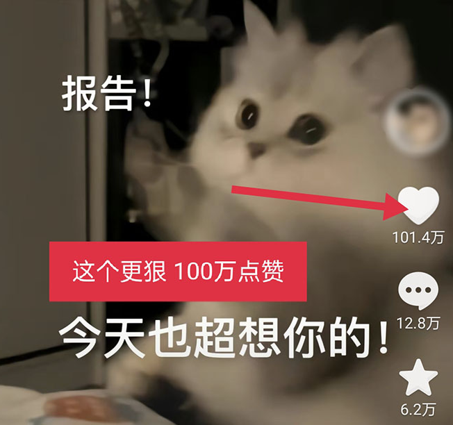 图片[5]-黑科技纯原创可爱猫咪图片_全网短视频精准引流-小目标博客资源网