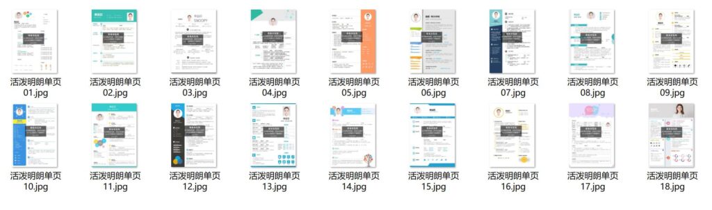 图片[5]-500套精品简历模板用word或wps编辑-小目标博客资源网