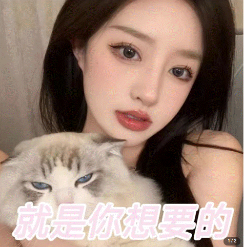 图片[2]-微信交友项目_吸引LSP男粉变现_小白也能轻松上手-小目标博客资源网