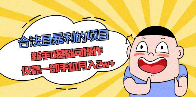 合法冷门项目_新手0基础可操作_一部手机月入2w+-小目标博客资源网