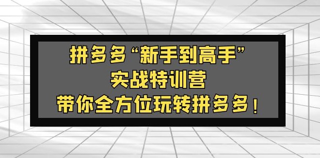 拼多多“新手到高手”实战课：带你全方位玩转拼多多！-小目标博客资源网