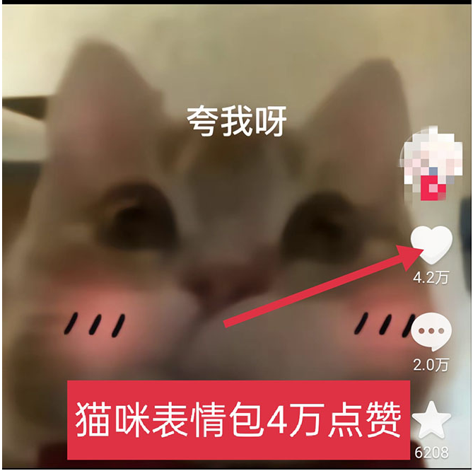 图片[6]-黑科技纯原创可爱猫咪图片_全网短视频精准引流-小目标博客资源网